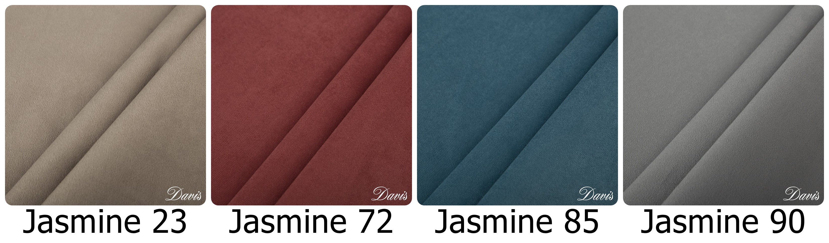 jasmine